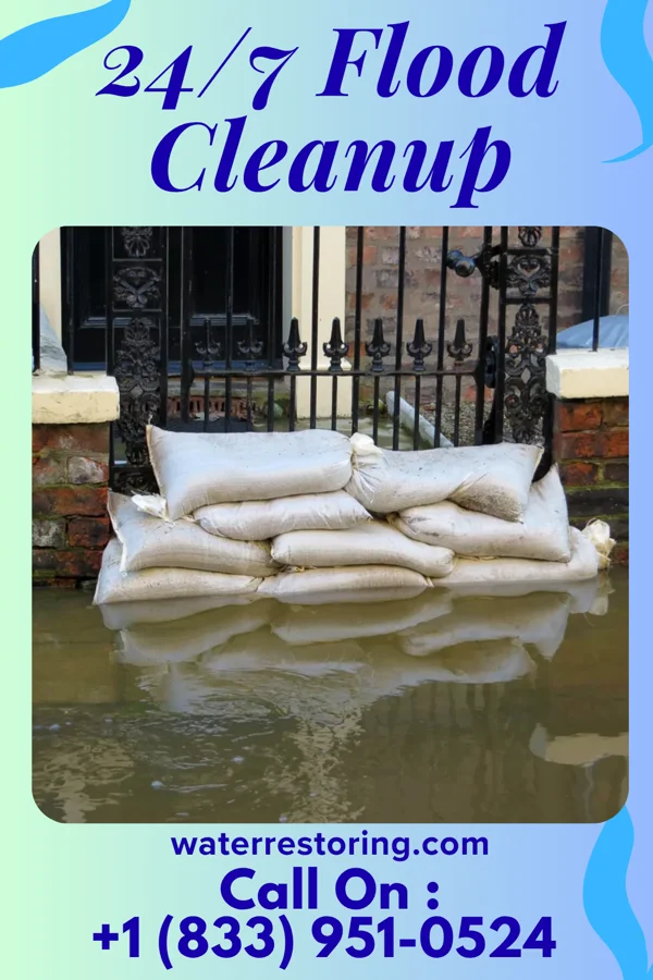 24/7 Flood Cleanup in Hollywood, AL