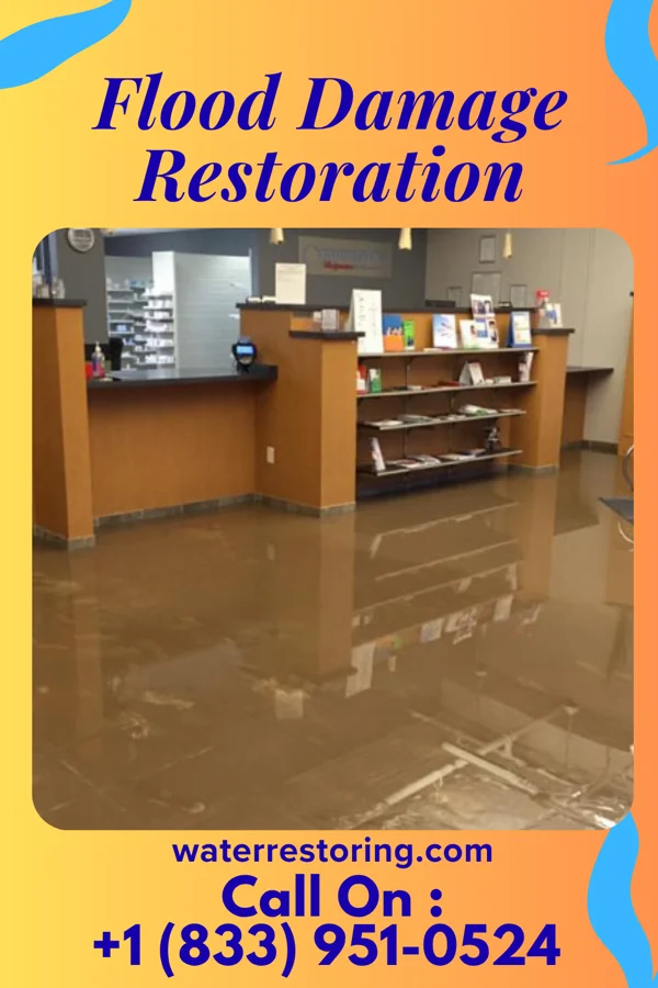 Flood Damage Restoration in Hollywood, AL