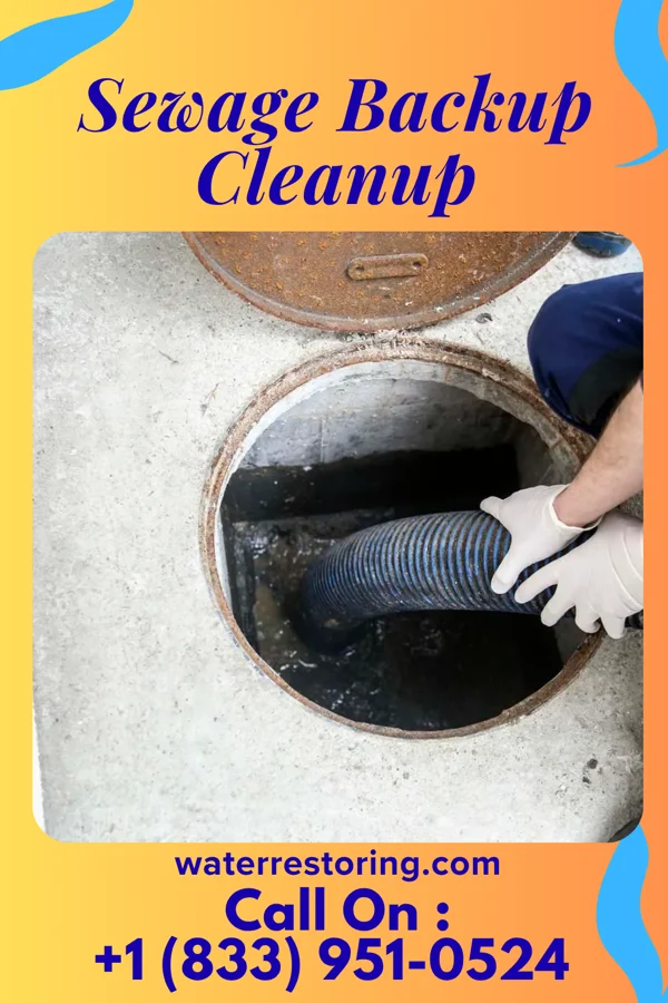 Sewage Backup Cleanup in Hollywood, AL